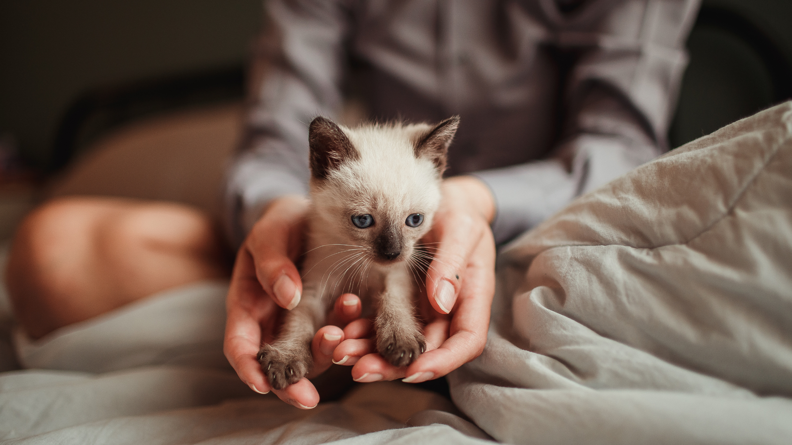 Adopcja zwierząt ze schronisk samorządowych