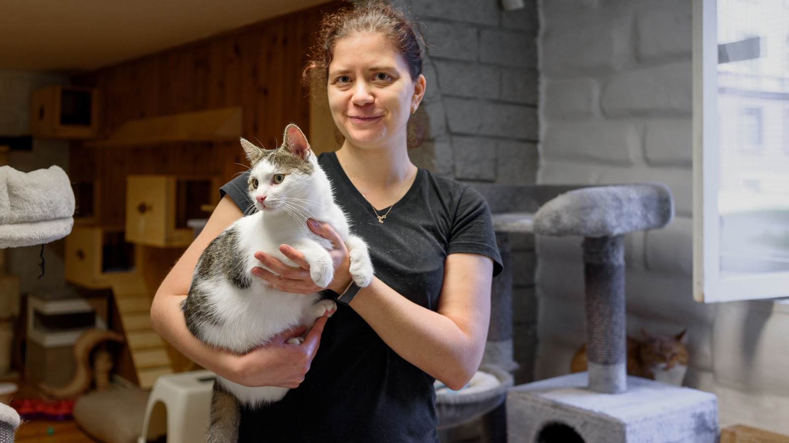 Schronisko dla zwierząt w Milanówek