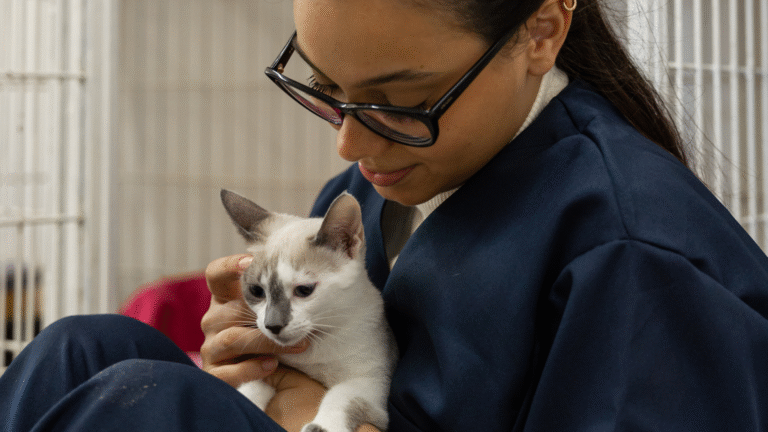 Schronisko dla zwierząt Częstochowa