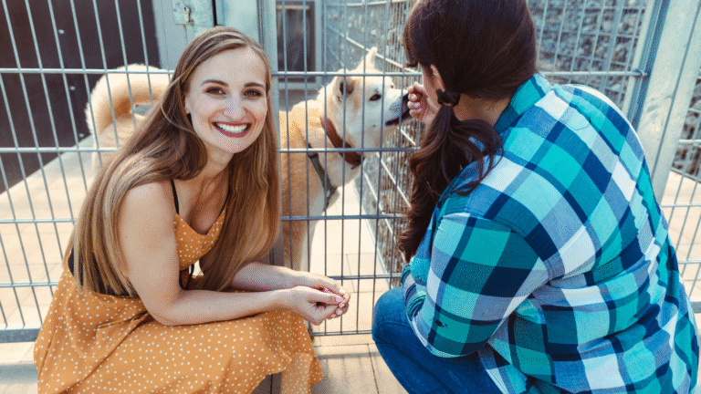 Schronisko dla zwierząt Brodnica