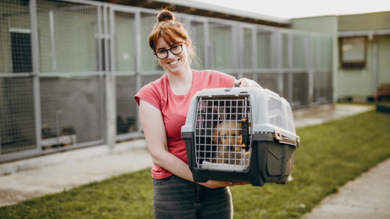 Schronisko dla zwierząt Lublin