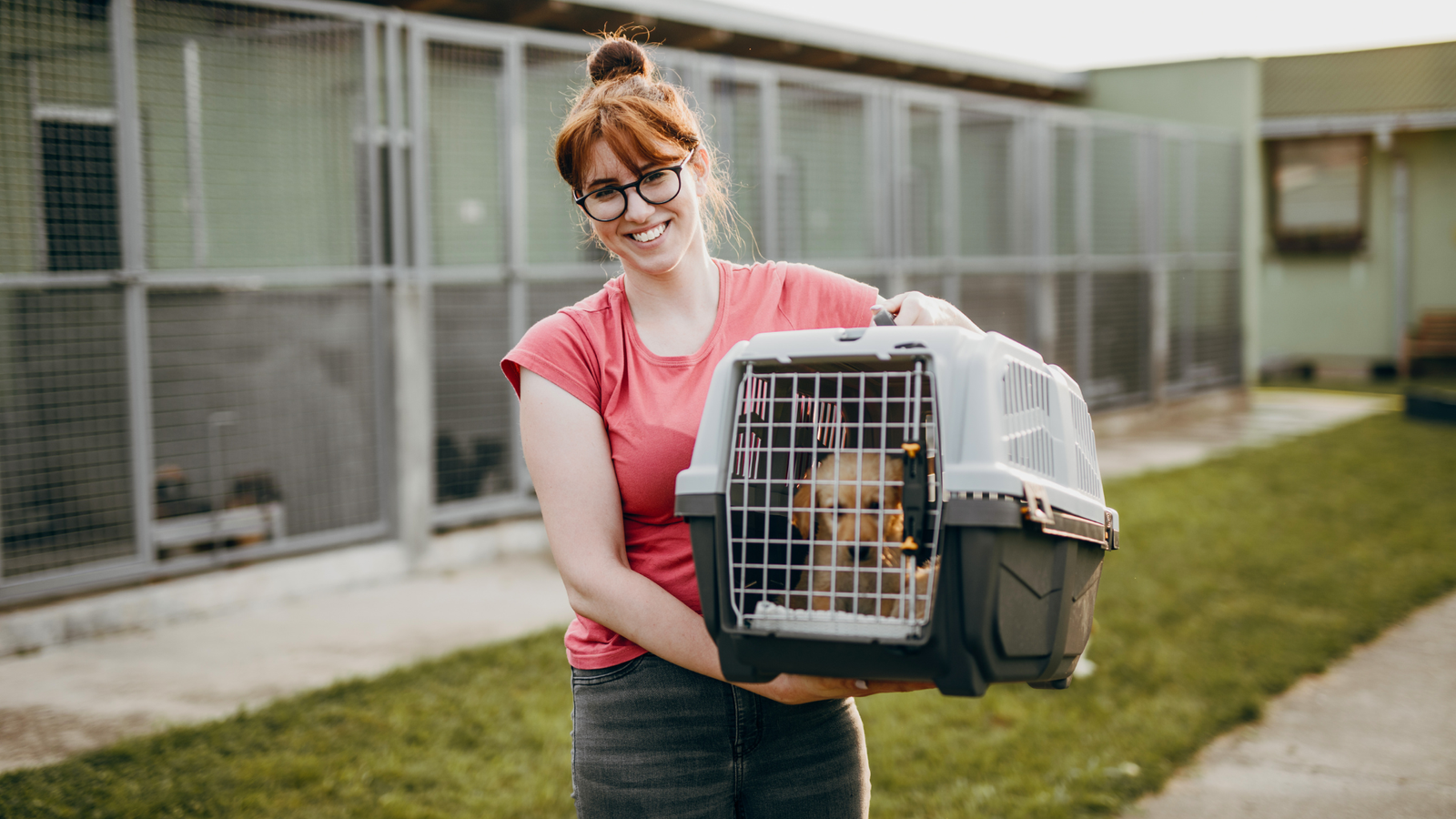 Schronisko dla zwierząt Lublin